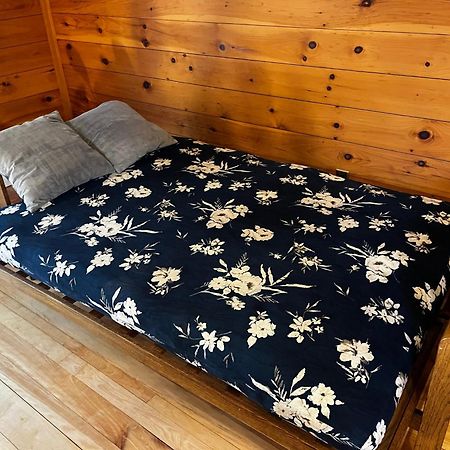 Bright And Cozy Treehouse Apartment Берлингтон Экстерьер фото